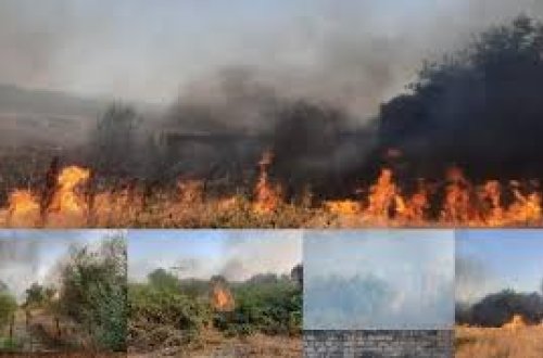 Xocalıda yanğına səbəb olan şəxs saxlanılıb