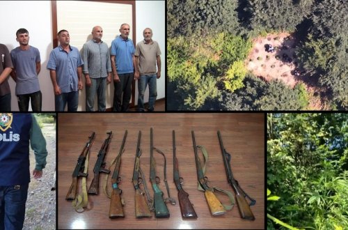 Balakəndə dağda narkotik becərən silahlı dəstə ifşa olunaraq həbs edilib - FOTOLAR