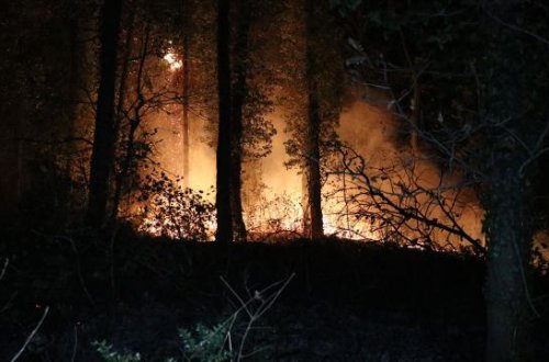 Fransada meşə yanğını Parisdən daha böyük ərazini məhv edib