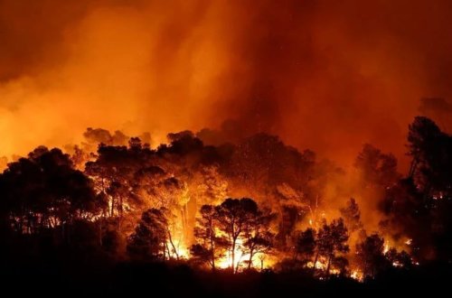 Fransa 76 ilin ən böyük meşə yanğını ilə mübarizə aparır