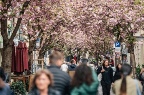 Almaniyada gənclərin sayı rekord həddə düşüb