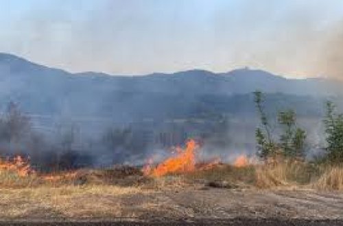 Ağdərədə yanğın törədən şəxs saxlanılıb