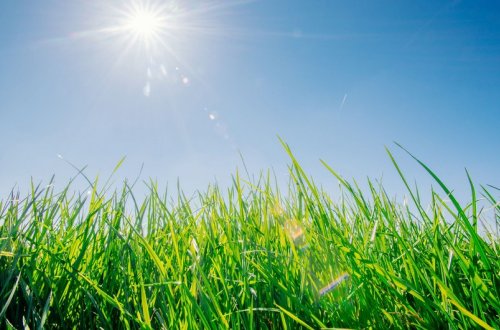 Sabah hava yağmursuz olacaq