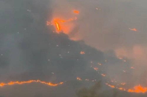 Zəngilanda yanğın törədən şəxs saxlanıldı - FOTOlar