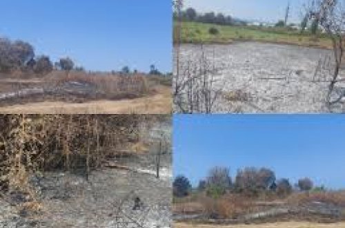 Lənkəranda yanğın törədən şəxs saxlanılıb