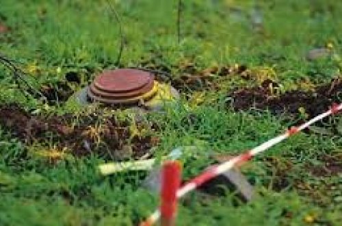 Ötən həftə 1504 ha ərazi minalardan təmizlənib