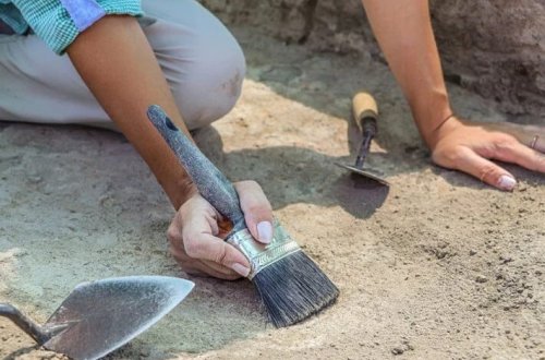 Arxeoloq tələbə ilk qazıntıda tarixi qalıqlar tapdı