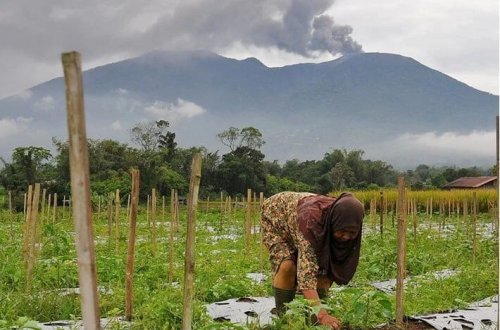Marapi vulkanı yenidən püskürdü