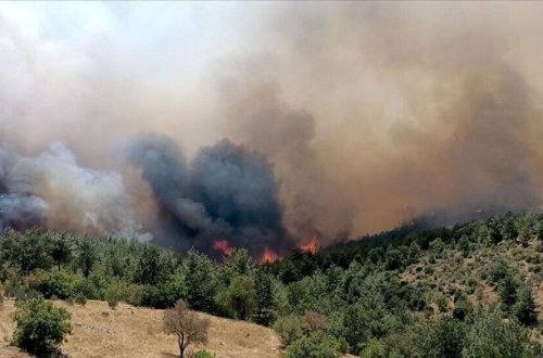 Türkiyənin dörd kəndindən sakinlər təcili təxliyə edildi