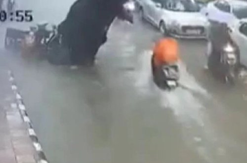 Hindistanda ağac ata və qızın üzərinə aşıb