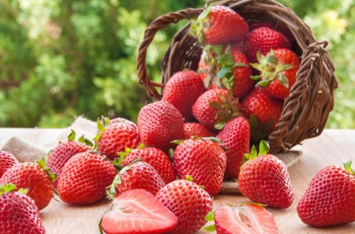 Çiyələk almağa gedən 28 yaşlı gənc qəflətən vəfat etdi