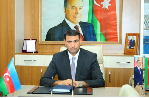 “AL SARAY” restoranın sahibi ağacları kəsdi, qanunsuz tikinti işləri aparır - Videofakt