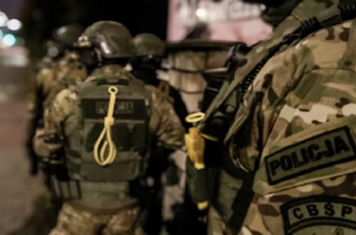 Polşada 275 milyon dollarlıq dövriyyəsi olan narkokartel ləğv edilib