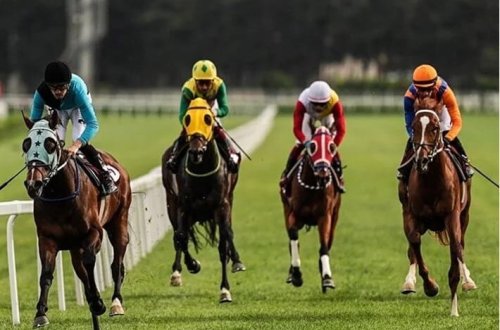 Böyük Britaniyada at yarışları tətili keçiriləcək