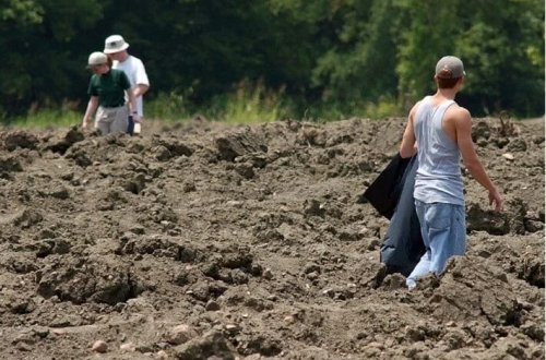 İctimai almaz mədəni: Tapanlar onu evə apara bilərlər
