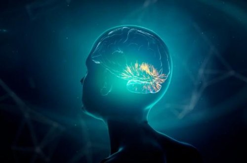 Daxili səsləri deşifrə edən beyin çipi hazırlanıb