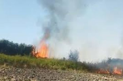 Sabirabadda yanğın törədən şəxs məsuliyyətə cəlb edilib