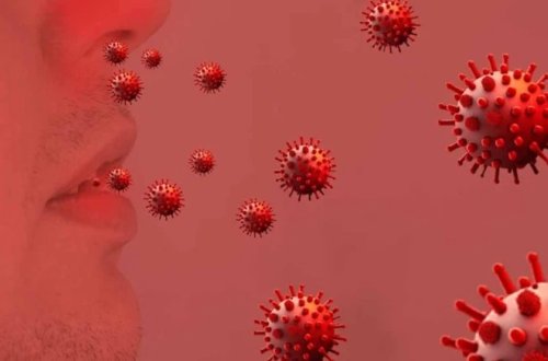 Fransada yeni virus bu şəhəri iflic etdi - 8 nəfər yoluxdu