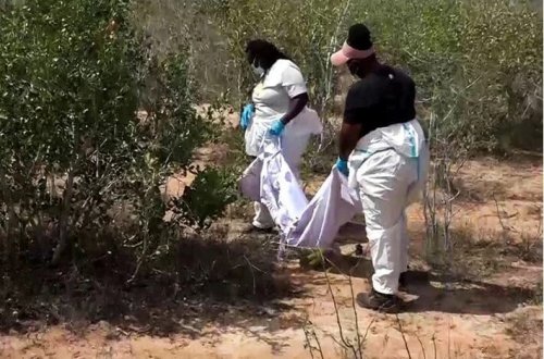 Aclıq təriqəti: Cəsəd sayı 434-ə yüksəlir