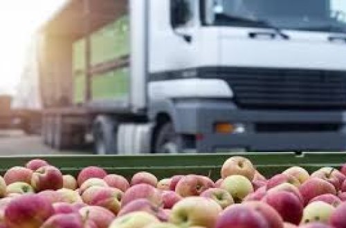 Ermənistandan ixrac olunan kənd təsərrüfatı məhsulları Rusiyaya buraxılmayıb