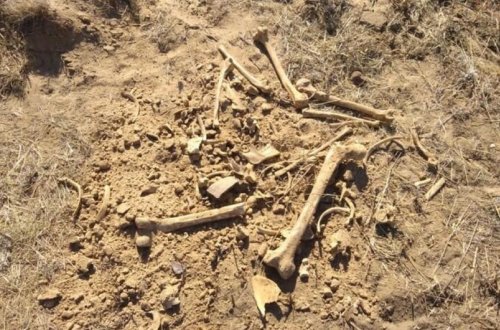 Ağdərədə insana məxsus olduğu ehtimal edilən sümük fraqmentləri aşkarlanıb