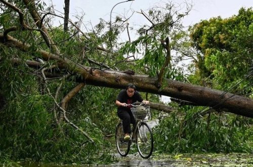 Tayfun Vyetnama çatdı: 3 nəfər ölüb 
