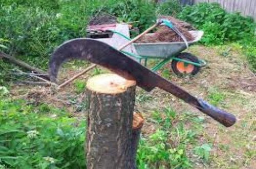 Zərdab sakini qohumu ilə mübahisə edən şəxsi dəhrə ilə vurub