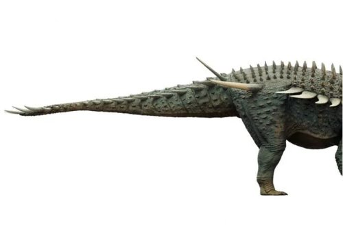 Dünyanın ən qədim zirehli dinozavrı Mərakeşdə aşkar edilib