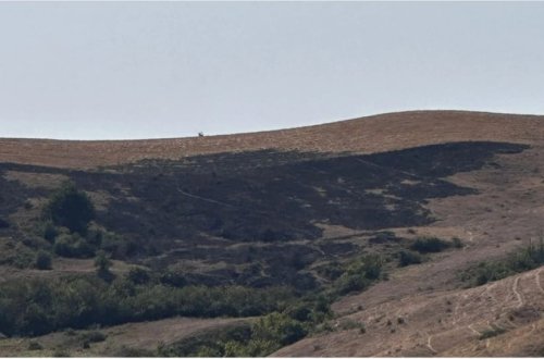 Şamaxıda yanğın törədən şəxs məsuliyyətə cəlb olunub