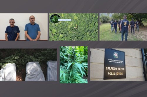 Balakəndə dağlarda narkoplantasiya salan silahlı şəxslər saxlanılıb