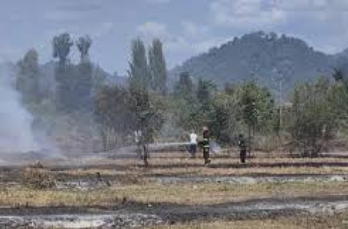 Lənkəranda yanğın törədən şəxs məsuliyyətə cəlb edildi