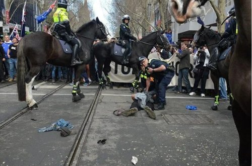 Avstraliyada mühacir əleyhinə etirazçılar küçələrə çıxıb