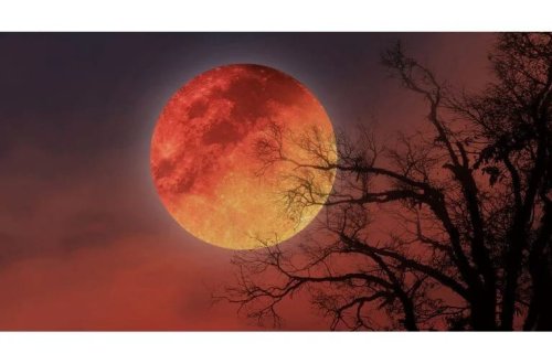 2025-ci ilin Tam Ay (Qanlı Ay) tutulması nə vaxt baş verəcək?