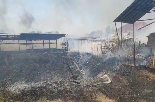 Beyləqanda yanğın törədən şəxs cərimə olunub