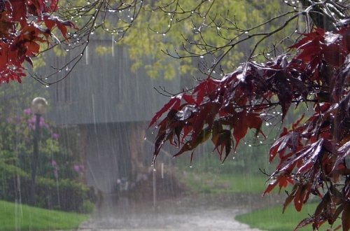 Bəzi rayonlara leysan yağıb