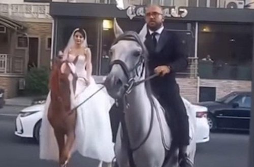 Bakıda bəylə gəlin toya at belində getdi - VİDEO