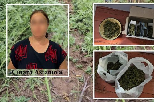 Saatlıda çətənə kollarının kultivasiyasını təşkil edən qadın saxlanılıb