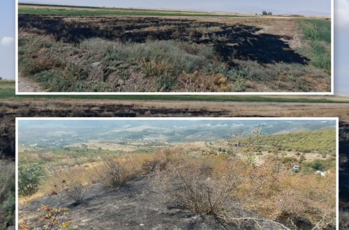 Füzuli və Xocavənddə yanğın törədən şəxslər saxlanıldı