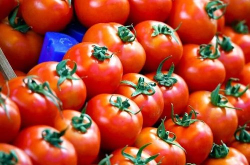 Albalı pomidorları salmonella epidemiyasının mənbəyidirmi?