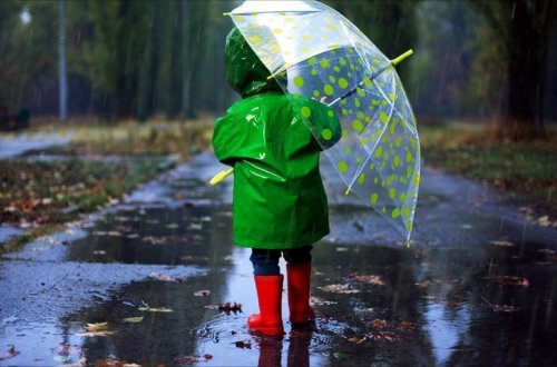 Bu rayonlara yağış yağıb - Faktiki hava