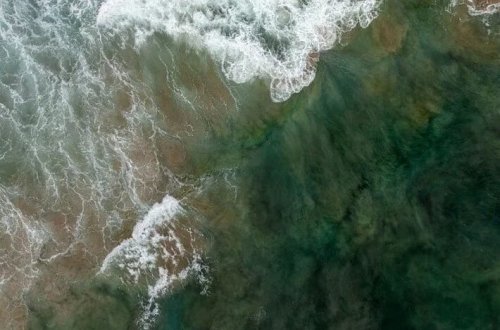 40 ildə ilk dəfə: Okean cərəyanının gəlməməsi elm dünyasını narahat edir