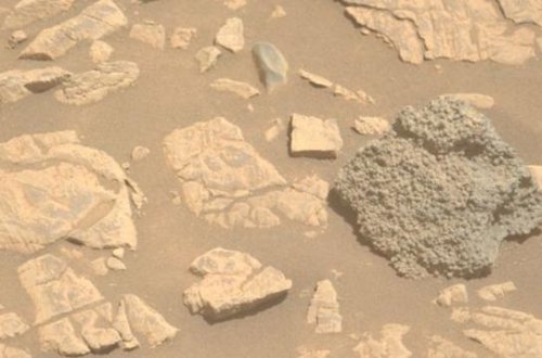 Marsda mümkün həyatın ən güclü əlaməti tapılıb