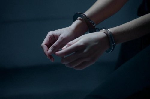 Babək rayonunda oğurluq edən qadın saxlanılıb -FOTO