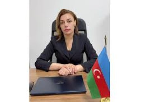 “İşçilər hüquqlarını tələb etməyə çəkinirlər”-Hüquqşünas Çinarə Ağayeva /MÜSAHİBƏ