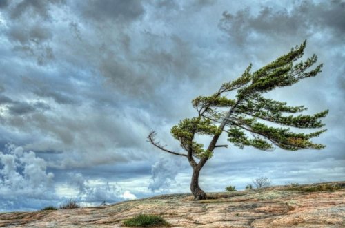Küləkli hava ilə bağlı XƏBƏRDARLIQ