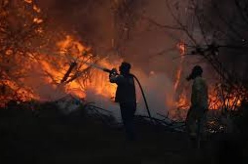 Türkiyədə meşə yanğınlarında ölənlərə şəhid statusu veriləcək