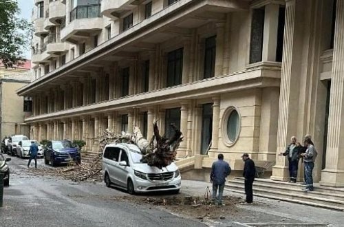 Bakıda ağac avtomobilin üzərinə aşdı