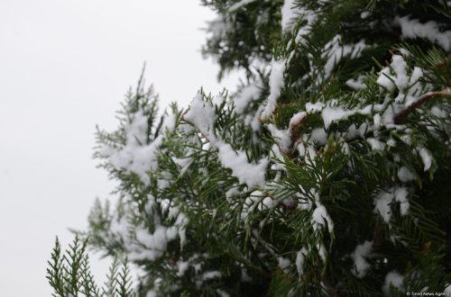 Qar yağacaq, dolu düşəcək - Sabahın HAVASI