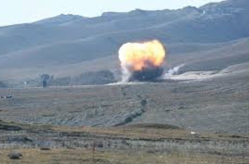 Goranboyda xırdabuynuzlu mal-qara minaya düşdü