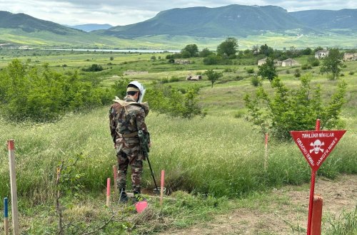 Partlayıcı sursatlardan zərərçəkən minaxtaranların sayı açıqlanıb